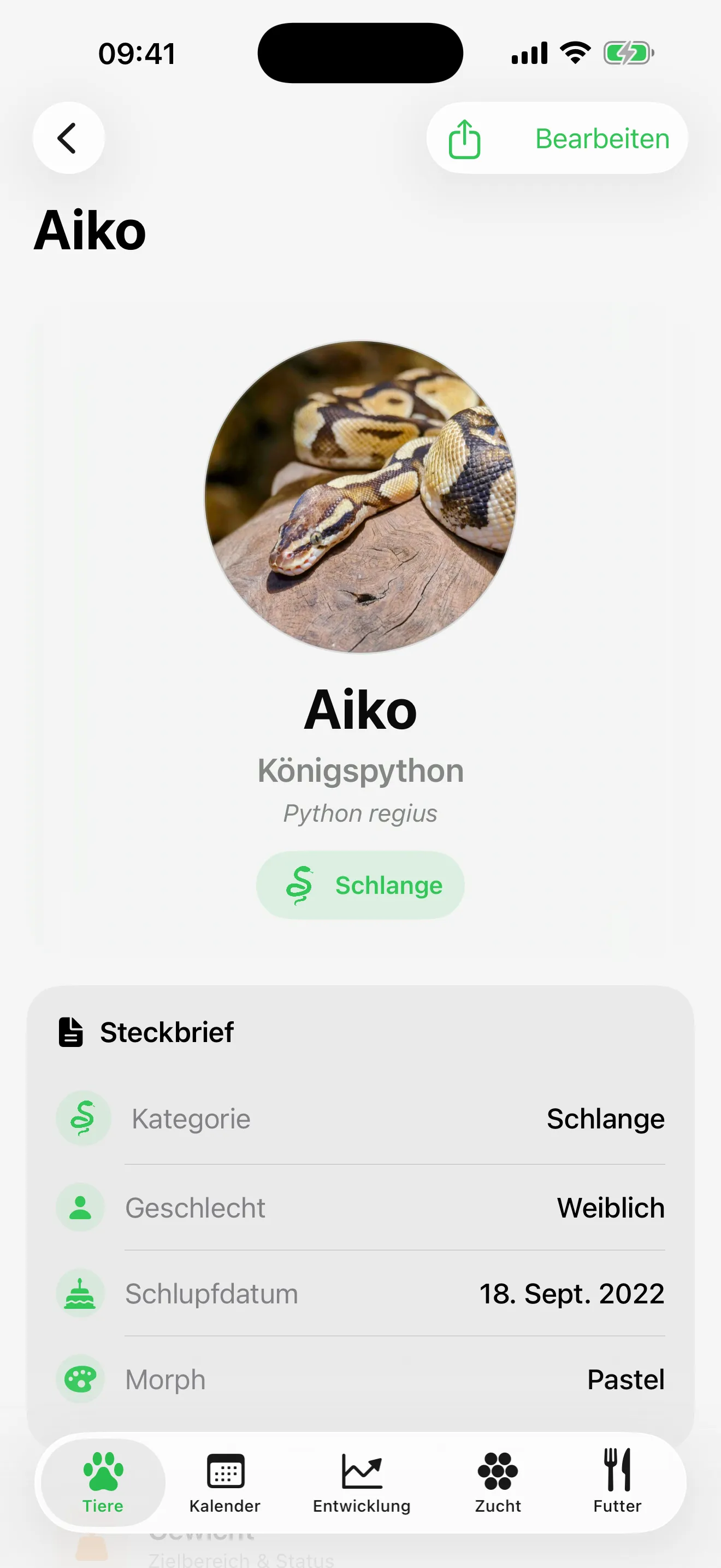 Der Steckbrief von Aiko: Foto, Art, Geschlecht, Schlupfdatum und Morph.