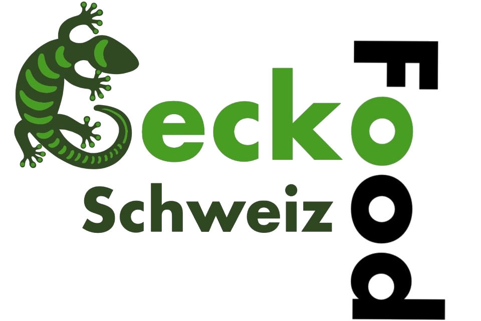 Gecko Food Schweiz – Logo