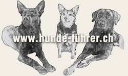 Hunde-Führer – Logo