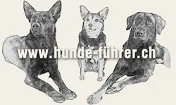 Hunde-Führer