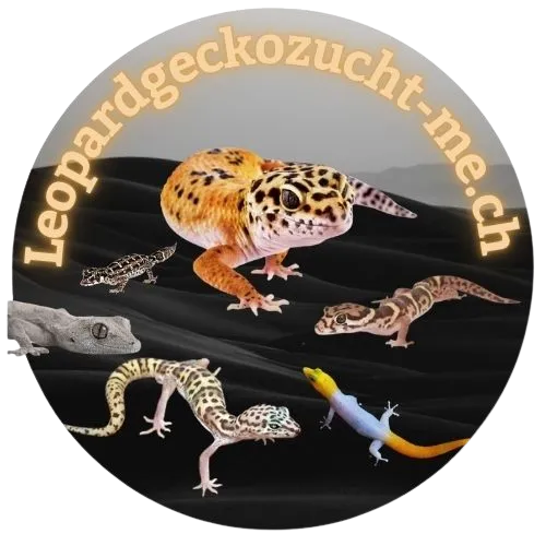 Leopardgeckozucht-me.ch