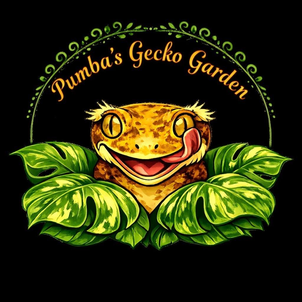 Pumba’s Gecko Garden – Logo