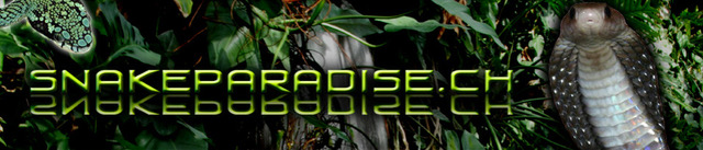 Snakeparadise.ch – Logo